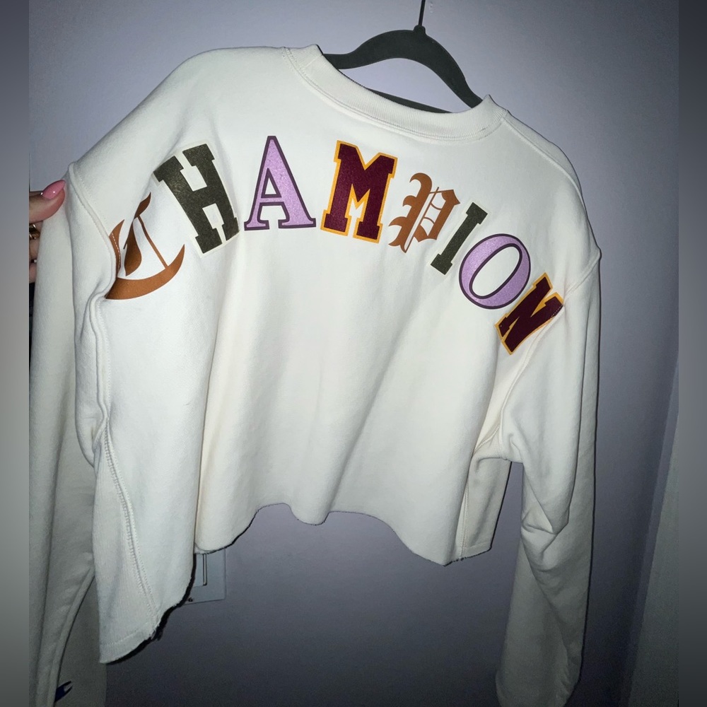 COPY - CHAMPION Cropped Sweater